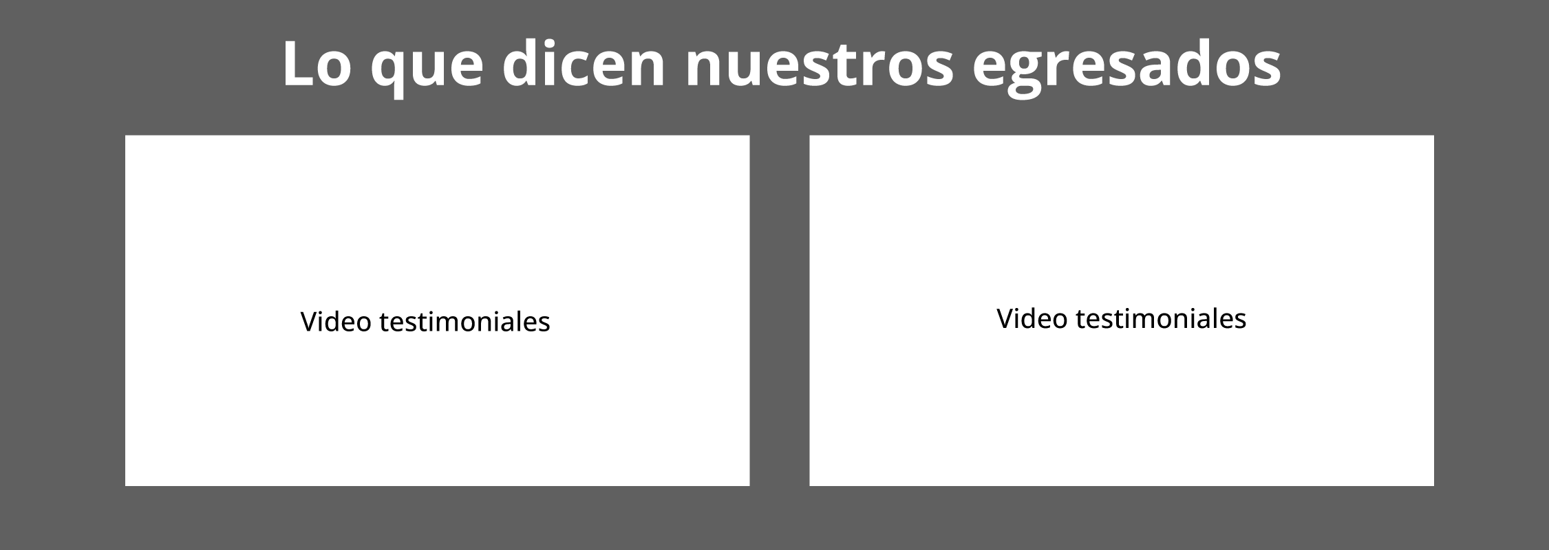 Lo que dicen nuestros egresados