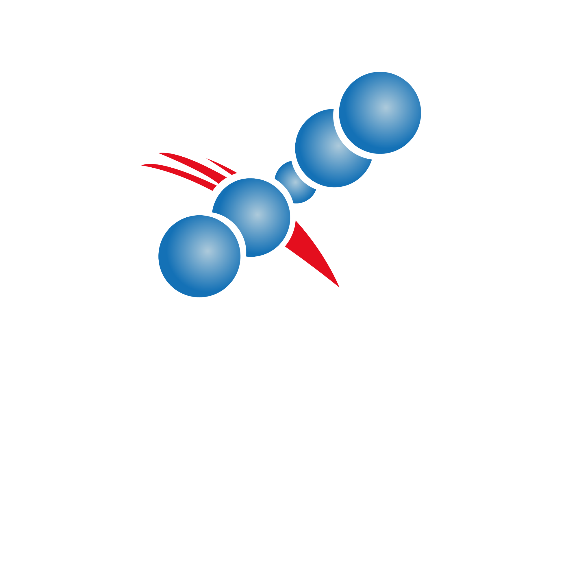 ANDES